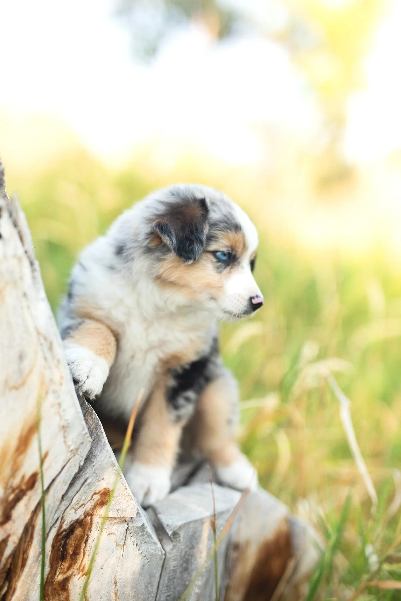 Our Training Philosophy