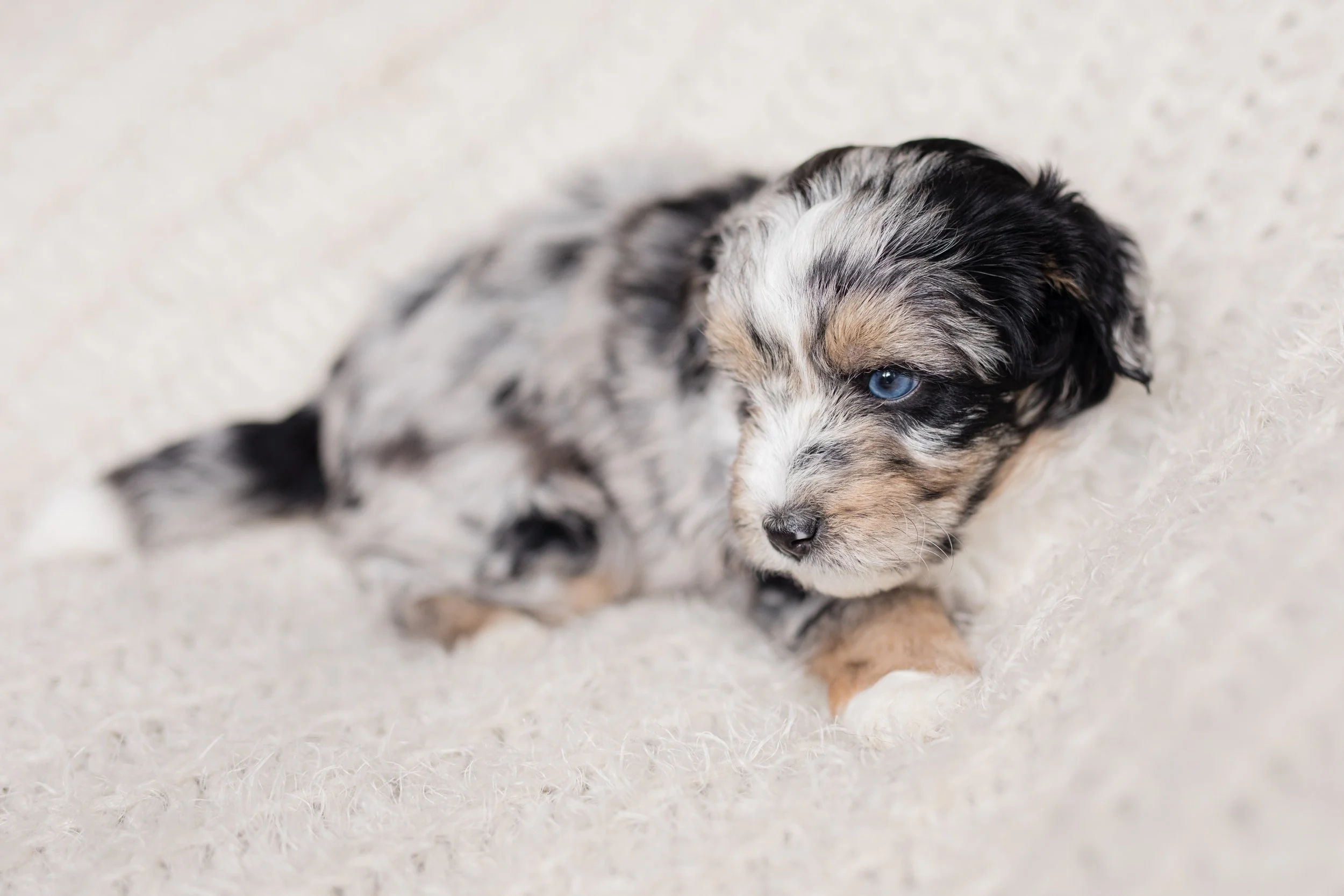 Five Simple Steps to Potty Training Success