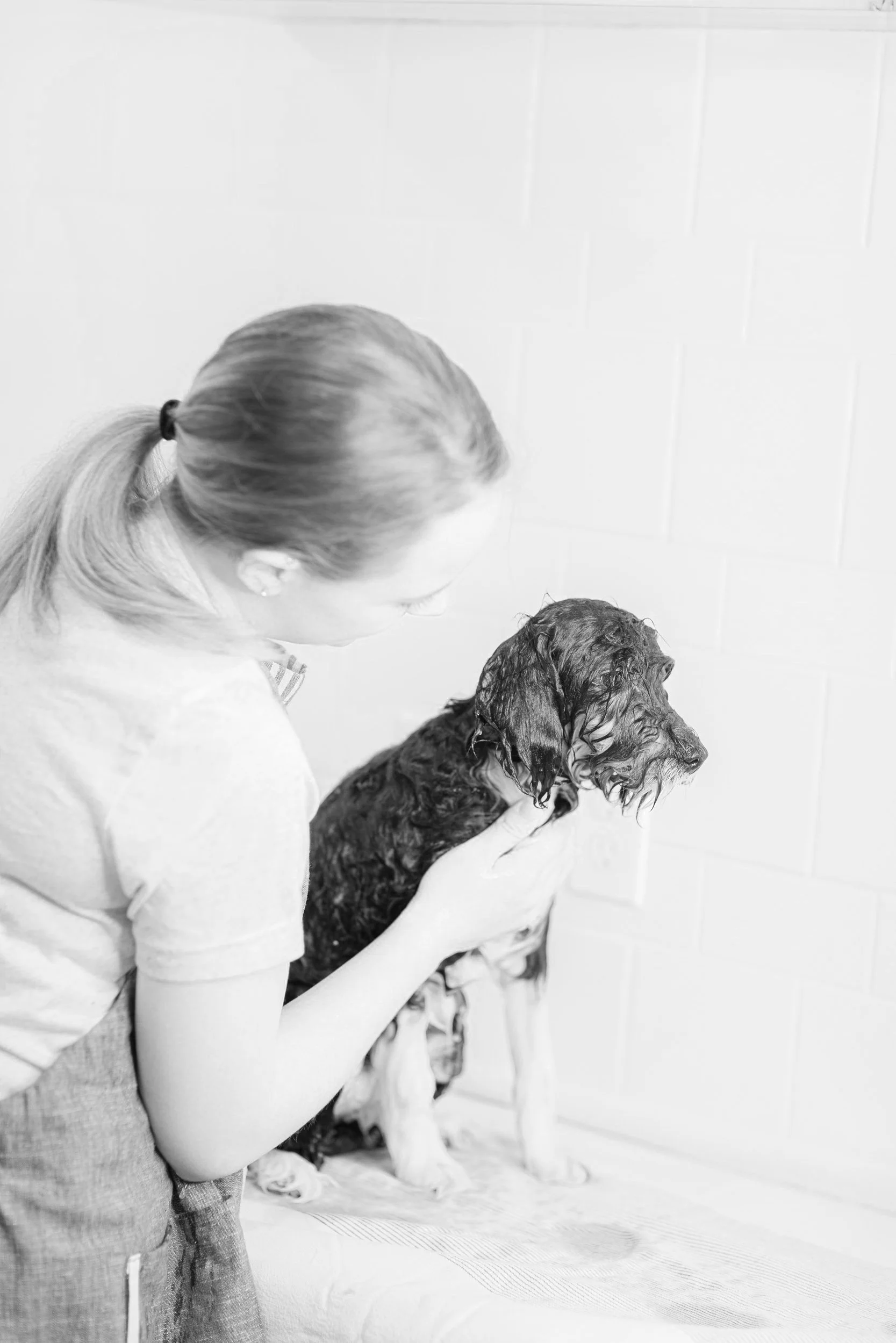 057_Stokehire-Salon-Spa-Doodle-Dog-Grooming-Medford-Wisconsin-K9-Klips-by-Karissa-Shotliff.jpg