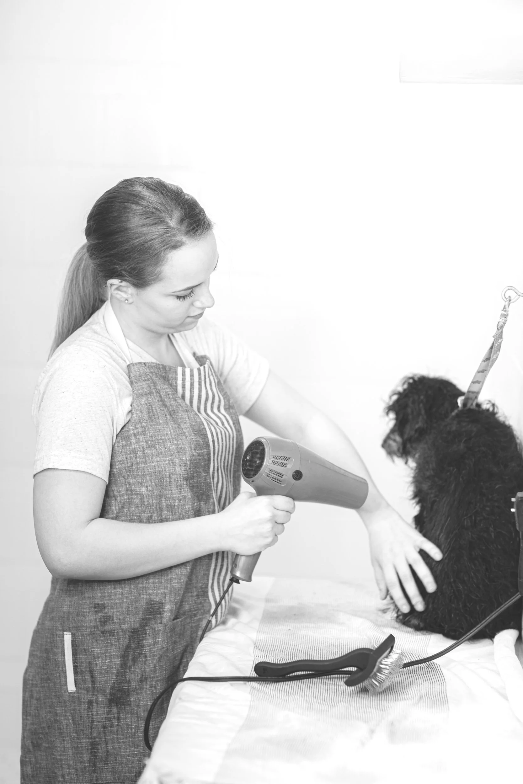 060_Stokehire-Salon-Spa-Doodle-Dog-Grooming-Medford-Wisconsin-K9-Klips-by-Karissa-Shotliff.jpg