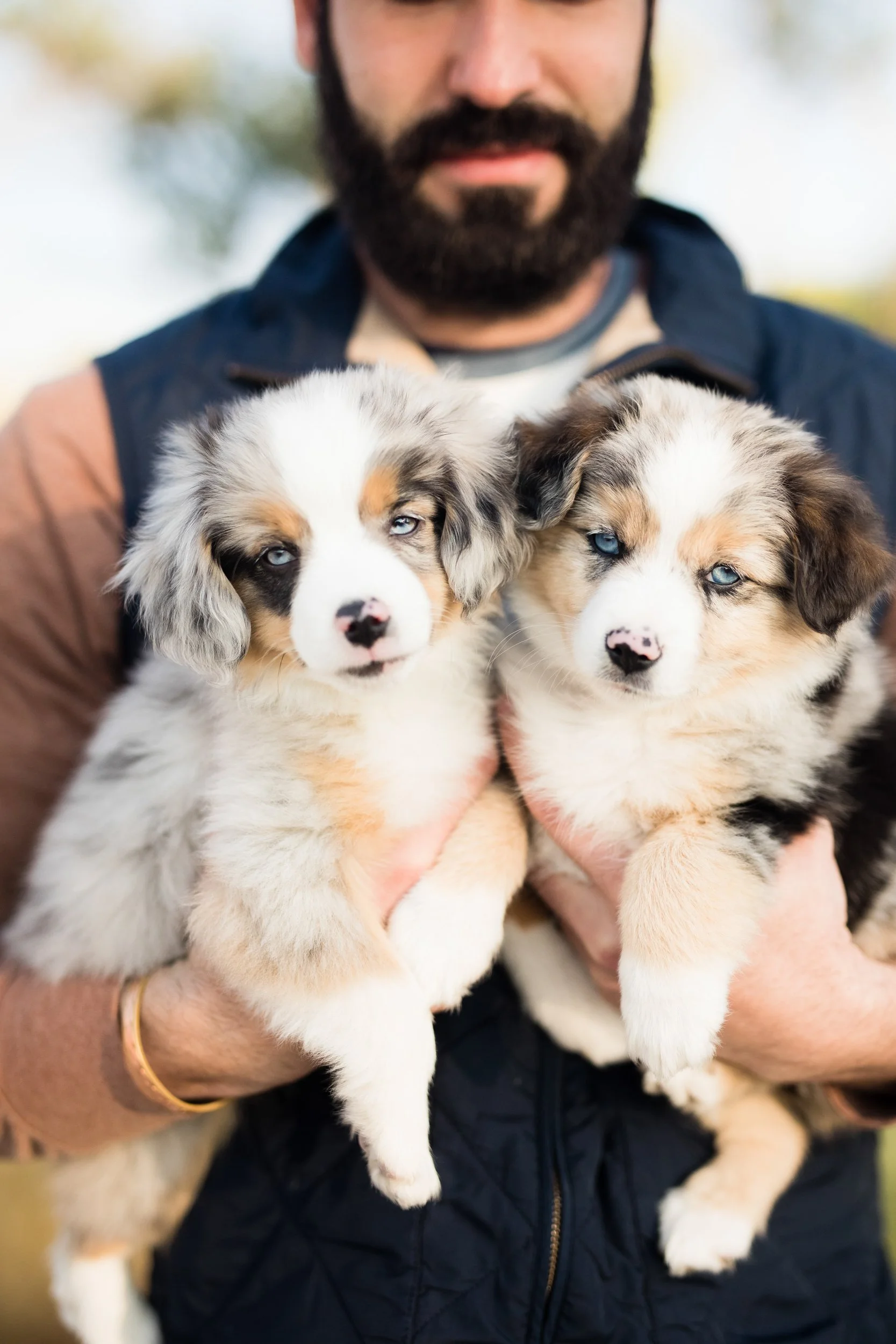 Balanced Dog Training: Important Things To Know&nbsp;