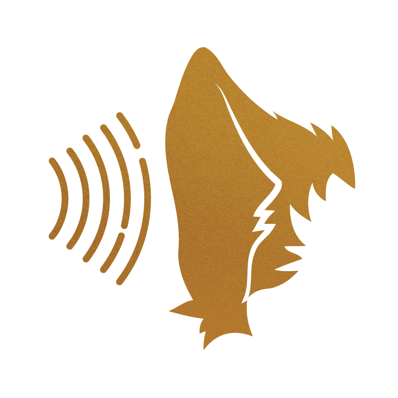 Sound Sensitvity