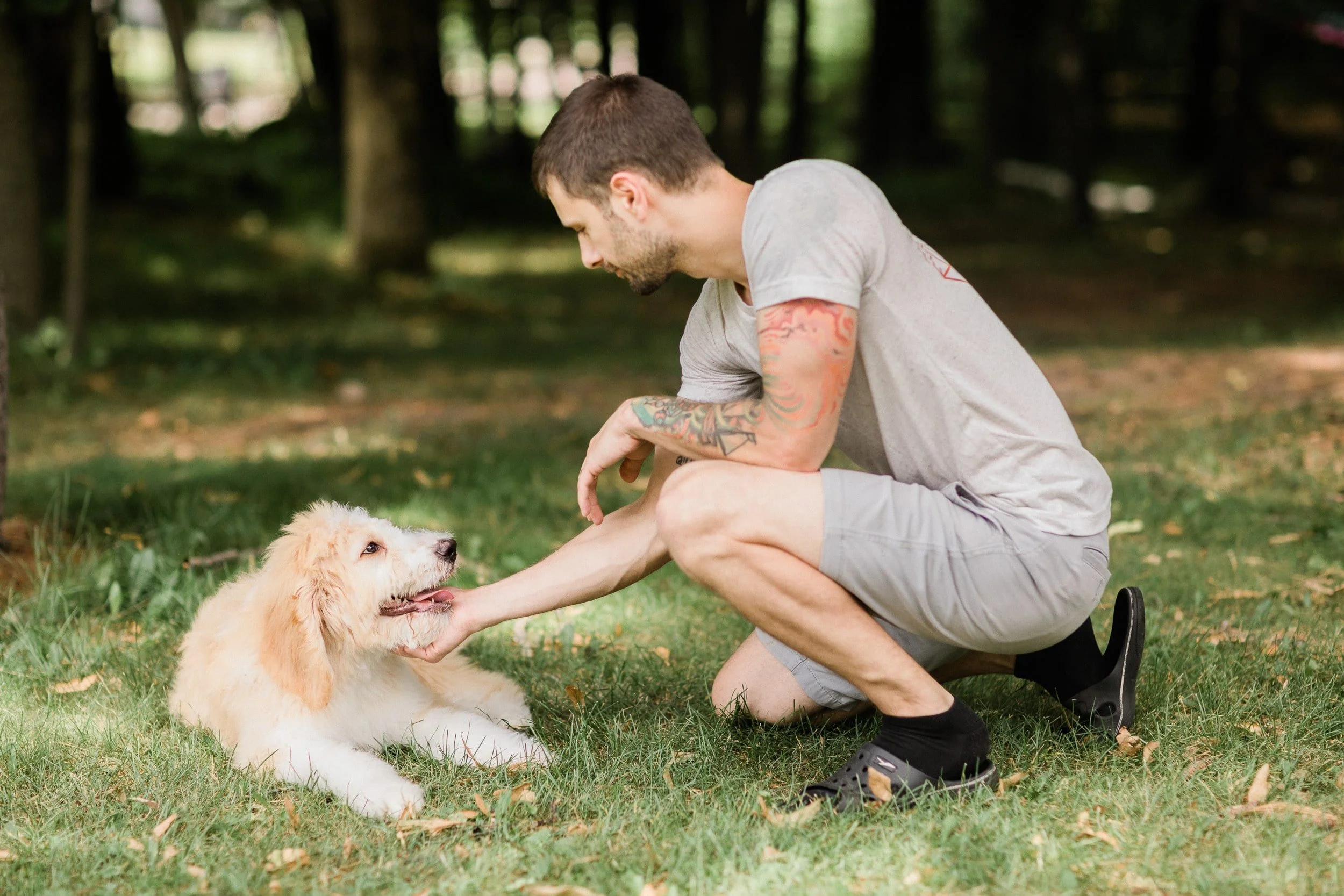 The Top 5 Best Parks to Take Your Dog in New York City