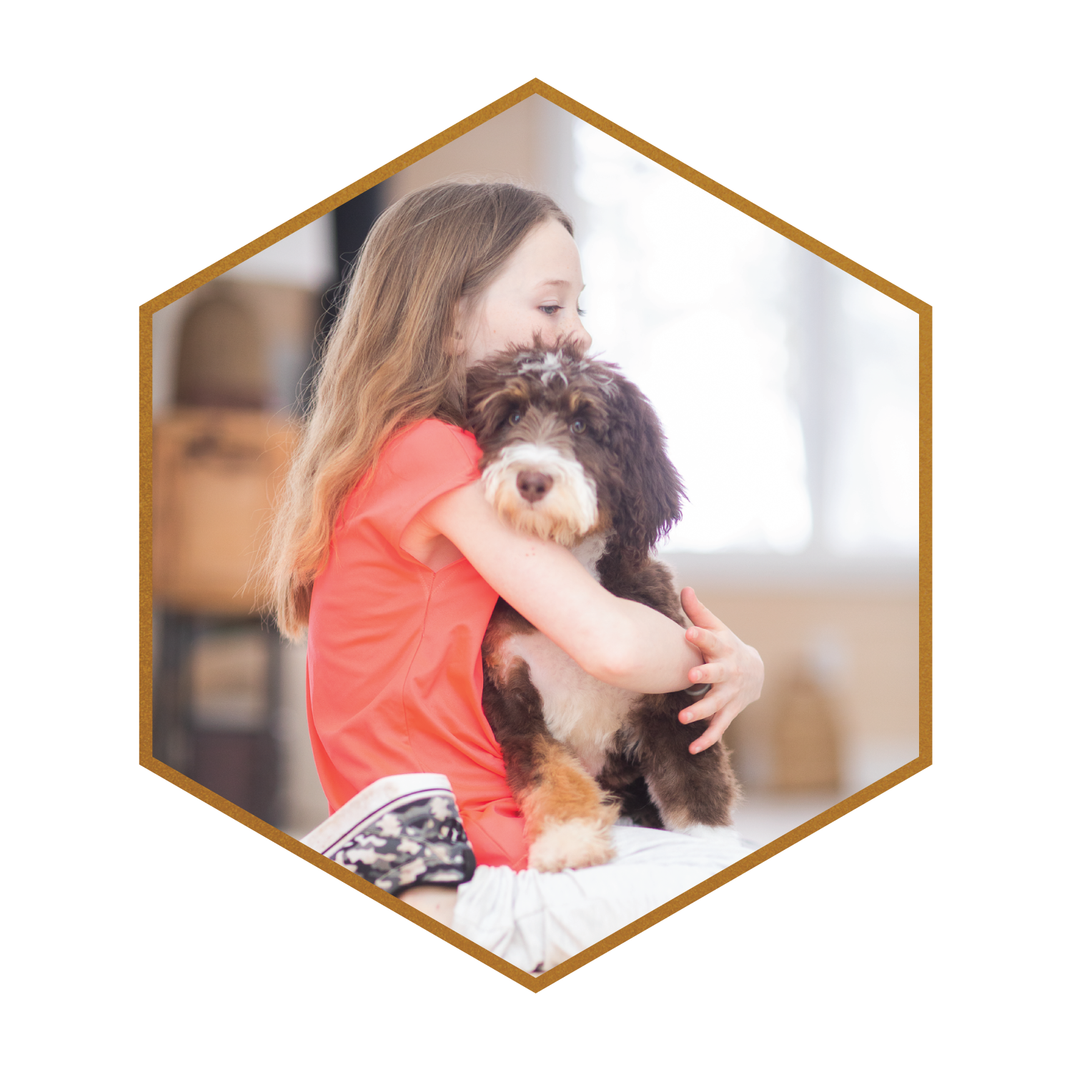 How Dogs Can Aid Children Sex Trafficking Survivors in their Path to Recovery