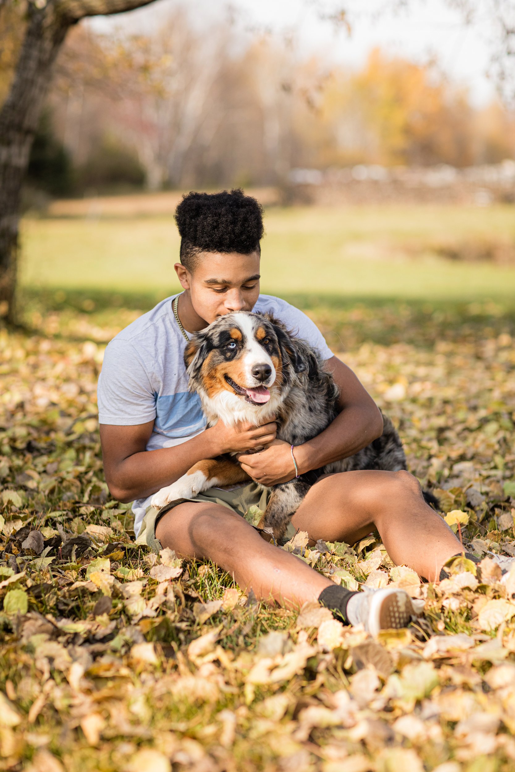 3_Apollo-Australian-Mountain-Dog-AMD-Stud-for-Doodles-Stokeshire-Designer-Doodles.jpg