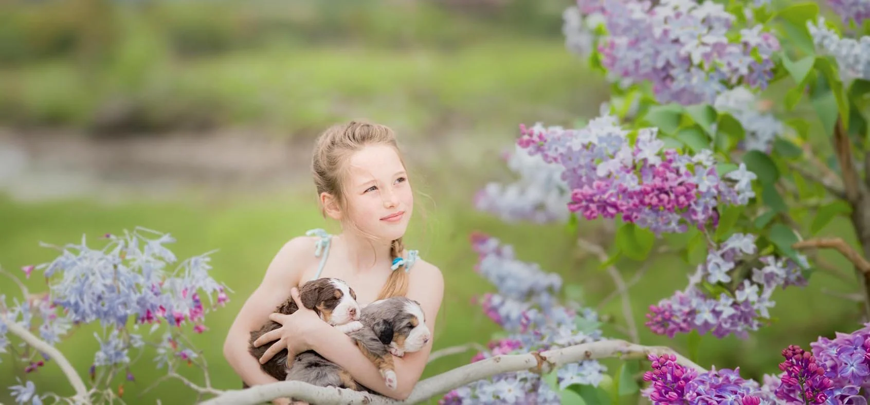 Eveline-FB2048.jpg