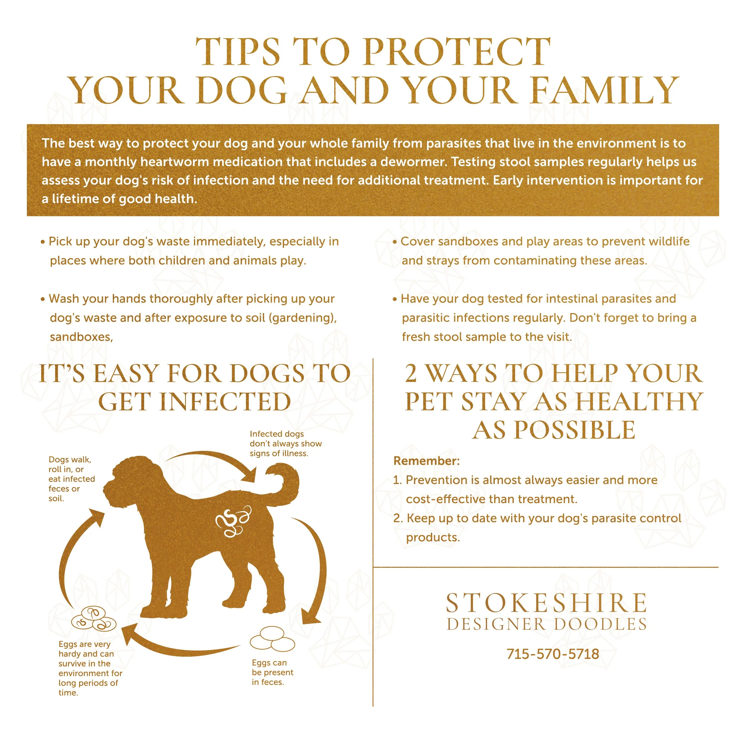 Protecting Your Furry Friend: A Guide to Preventing Parasites in Puppies