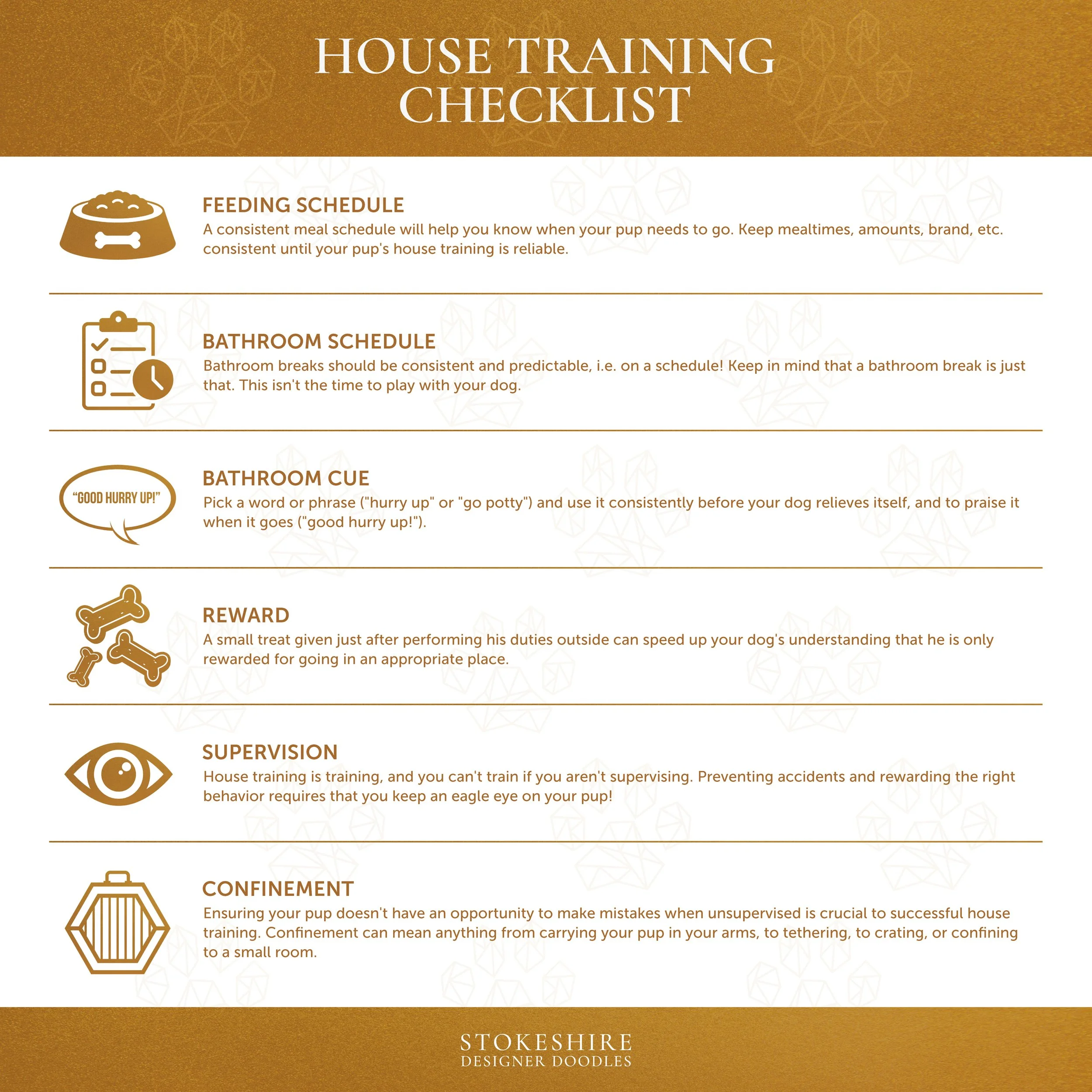 How to House Train Puppies: Checklist for Success