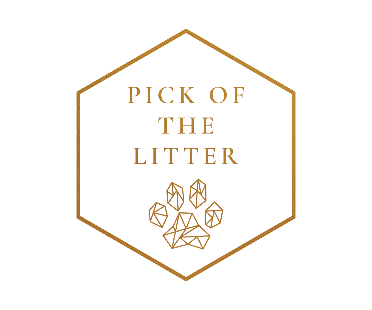 Pick-of-the-litter-logo-#3.png
