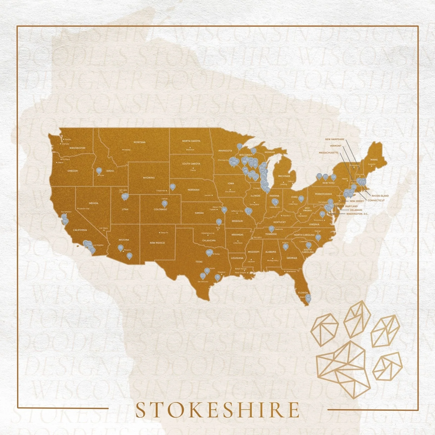 Introducing Stokeshire Pet Transportation: Ensuring Safe and Convenient Travel for Your Furry Companions