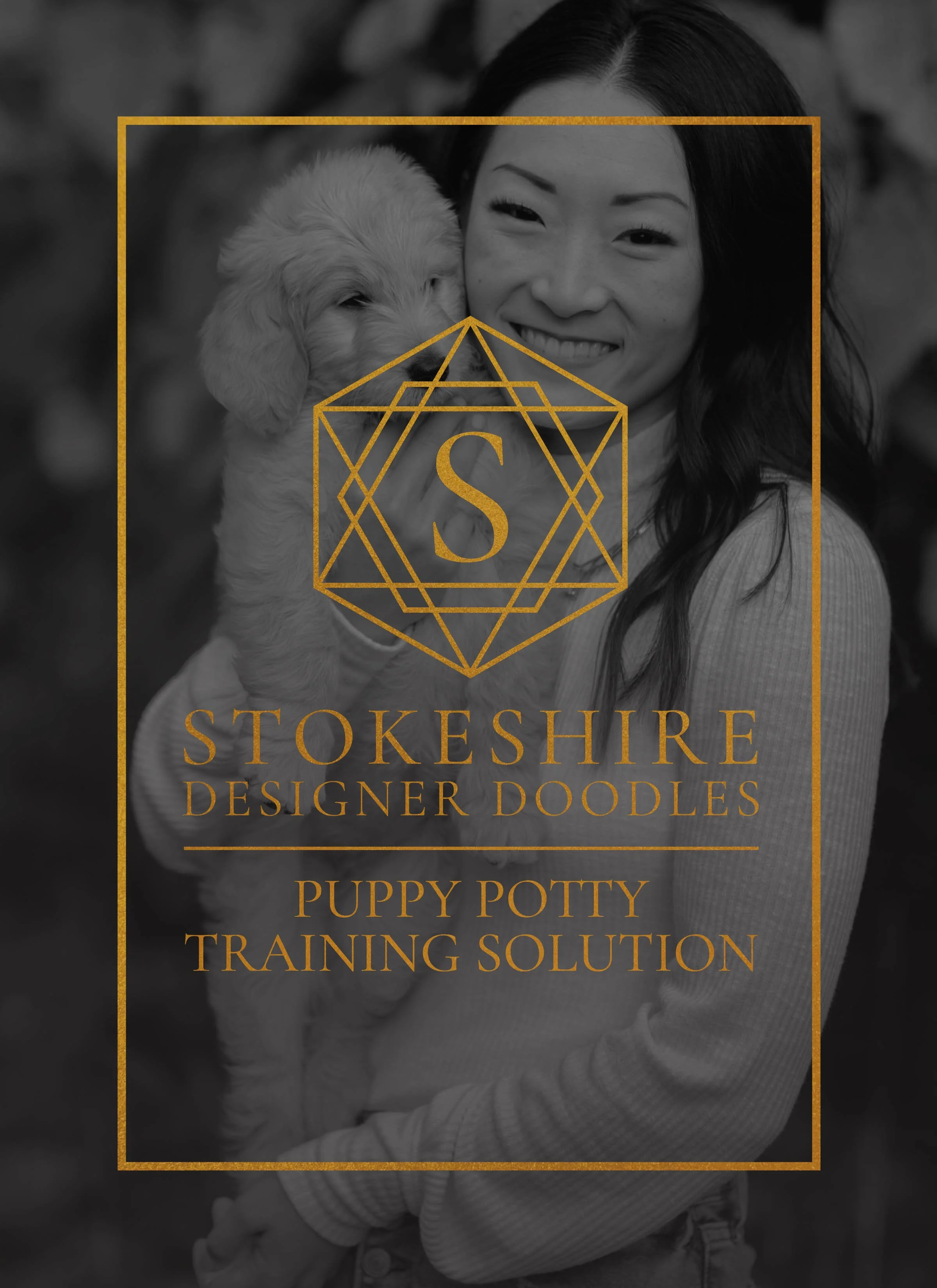 Stokeshire Potty Training Guide