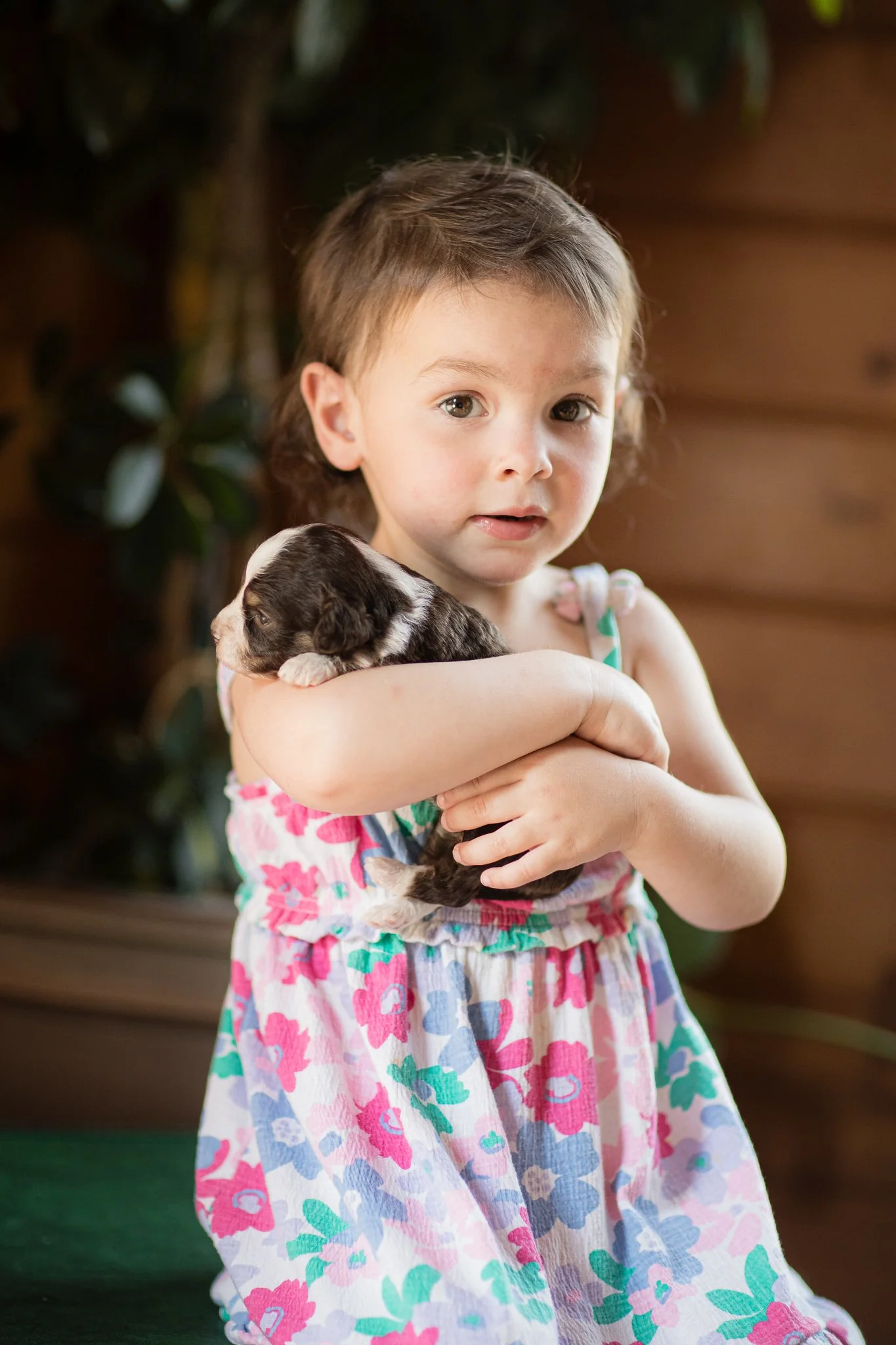 05_3-Week-Olive-Bowser-Mini-AMD.jpg
