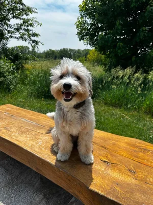 Stokeshire client review