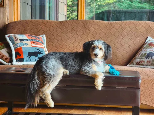 Stokeshire client review