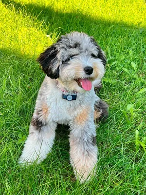 Stokeshire client review