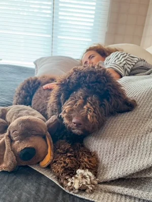 Stokeshire client review