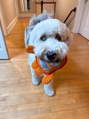 Stokeshire client review