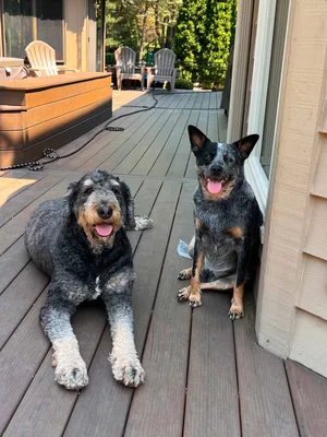 Stokeshire client review