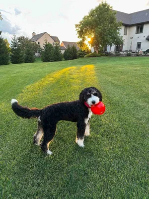 Stokeshire client review