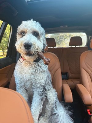 Stokeshire client review