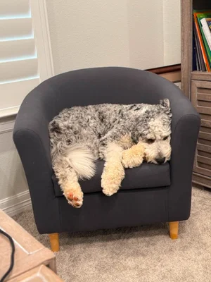 Stokeshire client review