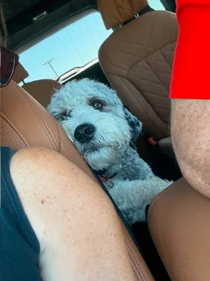 Stokeshire client review