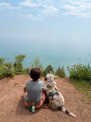 Stokeshire client review