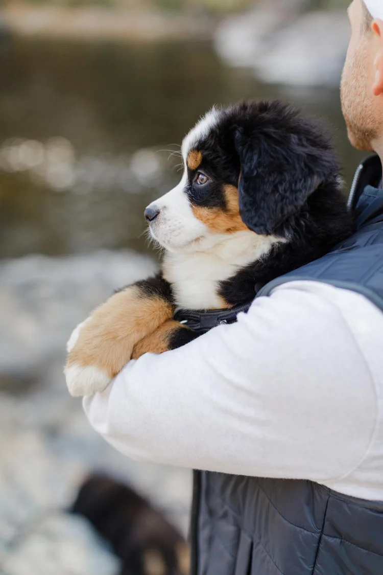 Stokeshire family with puppy at Rib Falls, Wisconsin