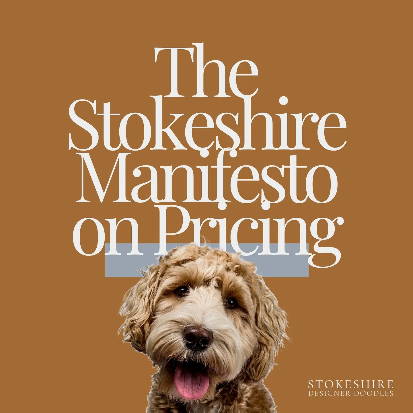 Ethical breeding isn&rsquo;t cheap&mdash;because doing right by dogs and families is never the &ldquo;budget&rdquo; option.

At Stokeshire, our pricing isn&rsquo;t built on trends, pressure, or comparison.
It&rsquo;s built on:

🐶 intentional pairing