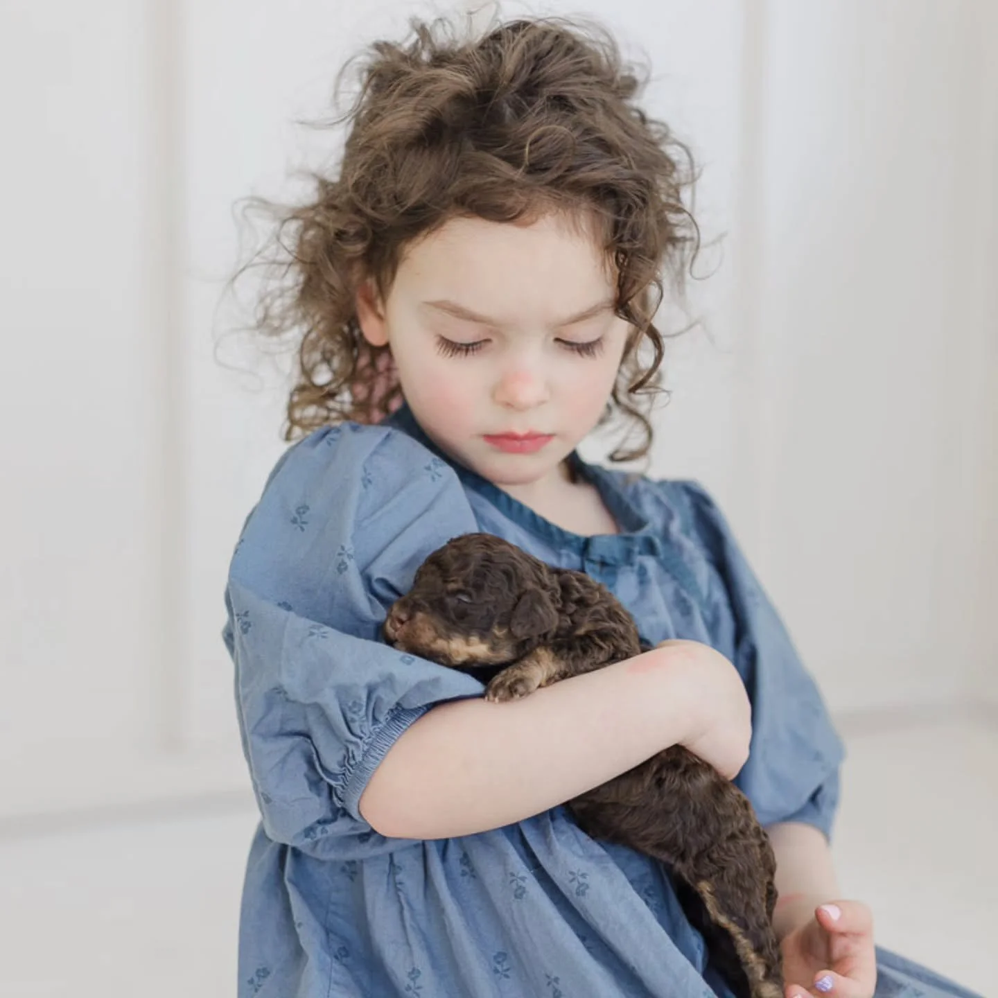 The dog doesn't just join the family.
The dog reflects the family.

It's what we call the Mirror. The way a well-matched dog reveals something true about the home it enters &mdash; the pace, the energy, the need.

We ask about your lifestyle, your ch