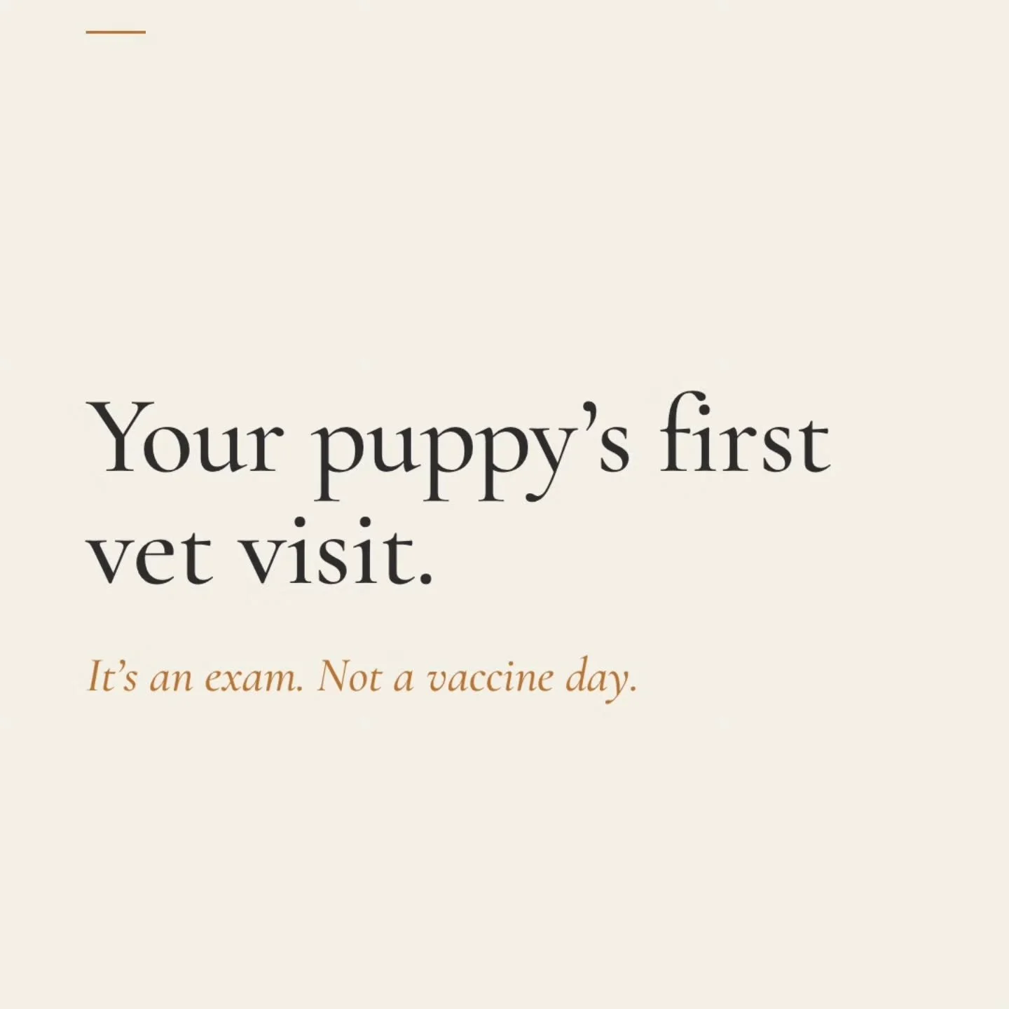 Your puppy's first vet visit is a wellness exam and a records handoff. It is not automatically a vaccine day.
Bring the Stokeshire health record and say this at check-in: "Please review what she's already received before giving anything today.&q