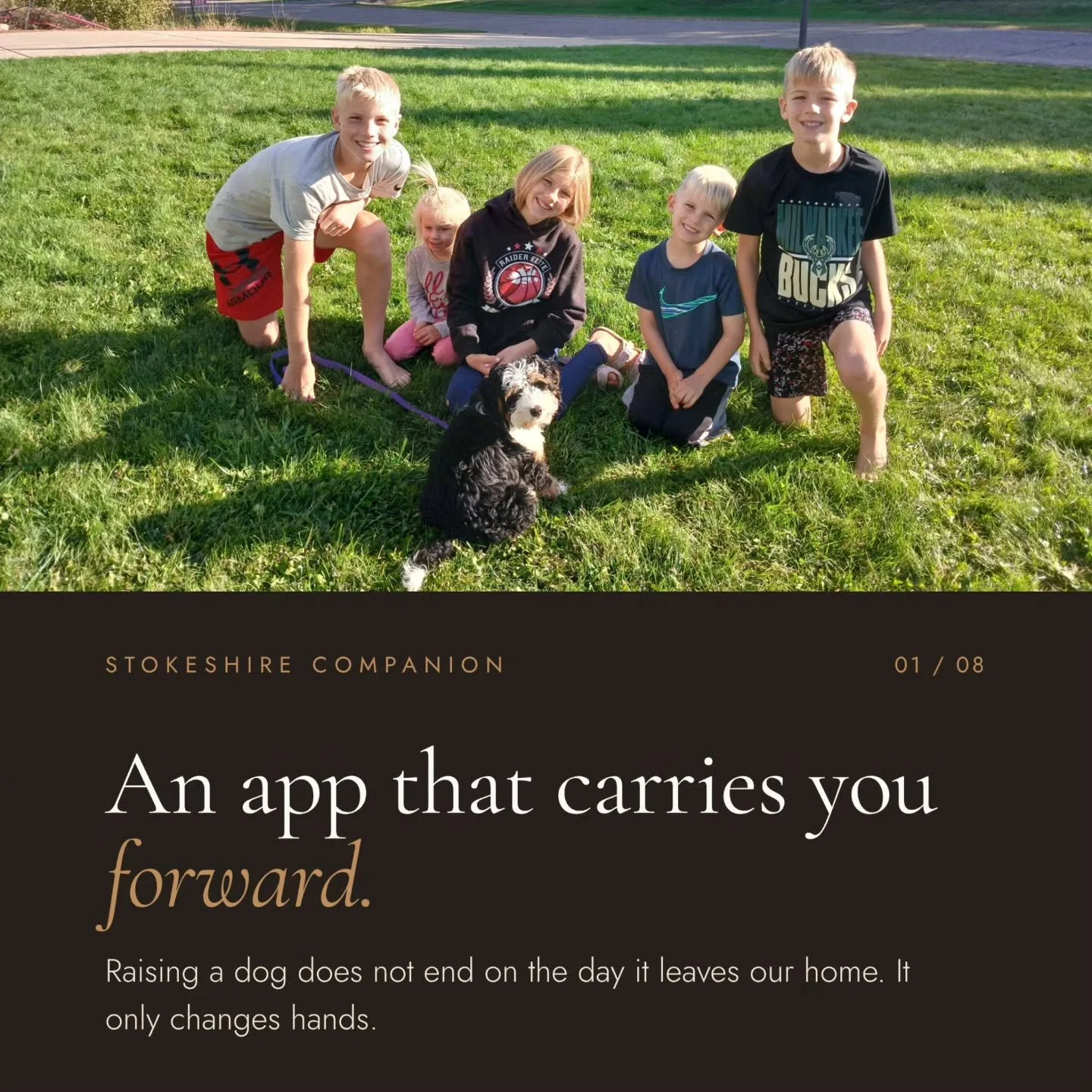 Raising a dog does not end on the day it leaves our home. It only changes hands.
Stokeshire Companion carries that connection forward: your puppy's story, their training progress, and guidance from the people who know them.
To our Stokeshire families
