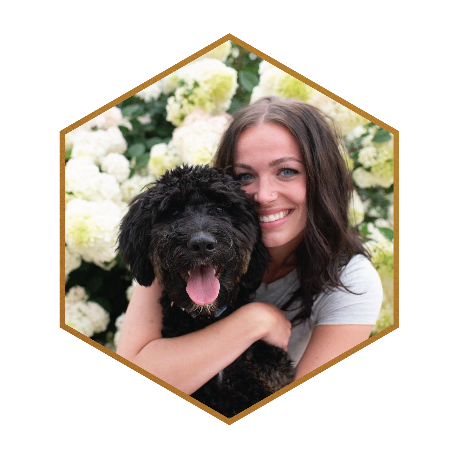 Finn-F1-Bernedoodle-FetaxPhoenix-Phantom-(hexagon)-#1.png