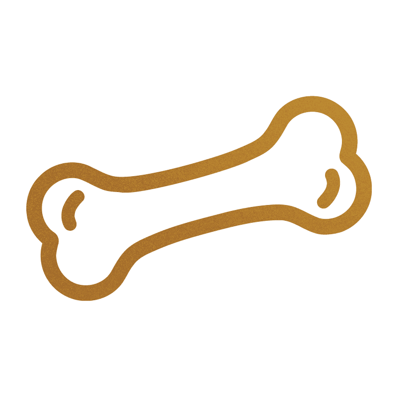 bone-doodle-puppy-training-resources-stokeshire-doodles-wisconsin.png
