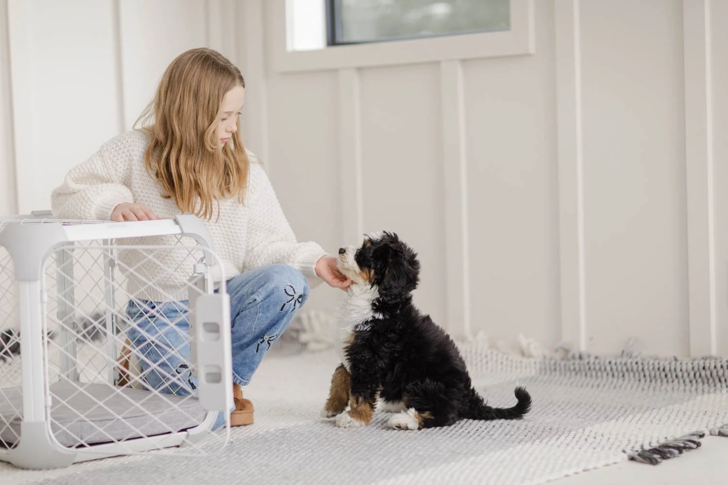 Are Doodles Smart? AKC Intelligence Rankings Explained
