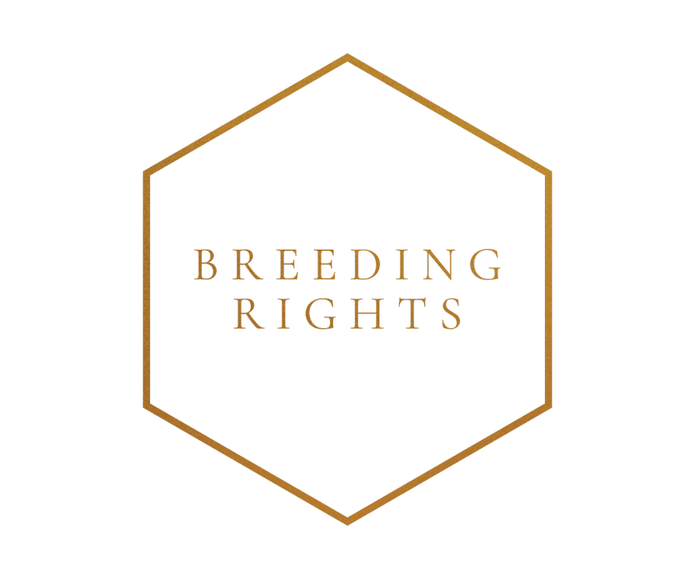 Breeding Rights Chart How much do Poodle and Doodle Breeding Rights Cost? — STOKESHIRE