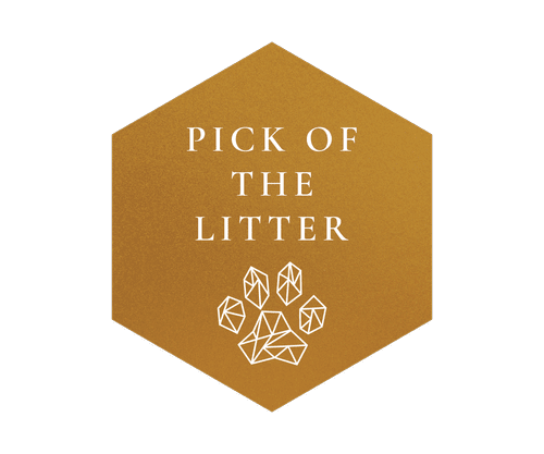Pick of the Litter icon