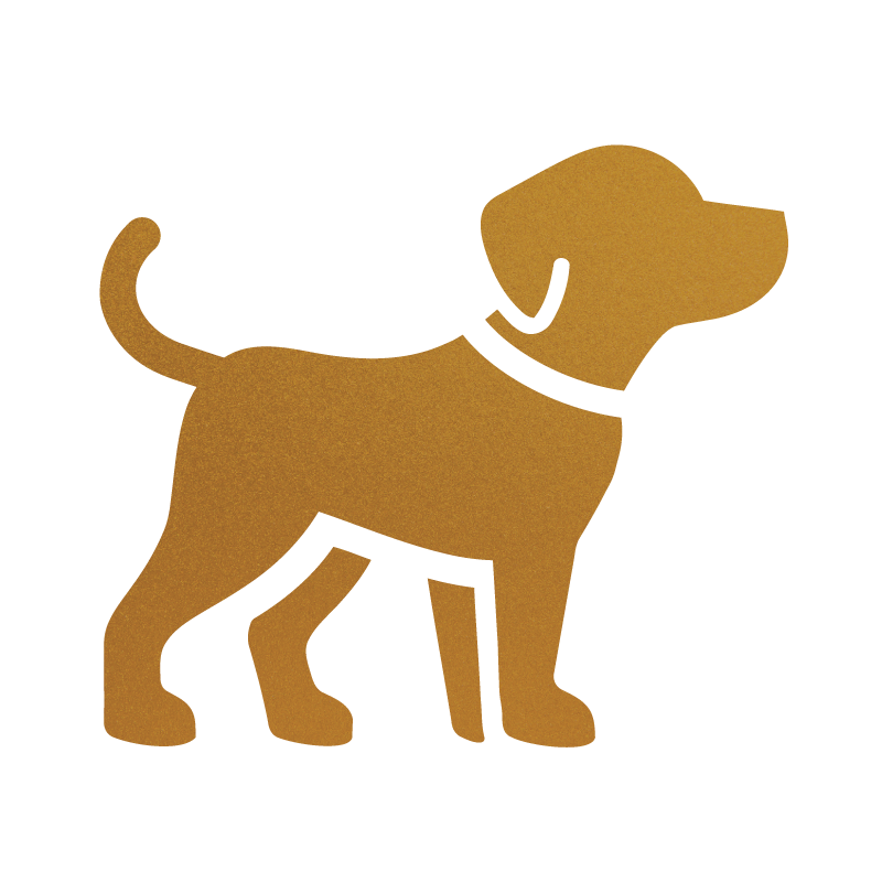 The Unfurnished Doodle: A Natural Look with Potentially Less Shedding