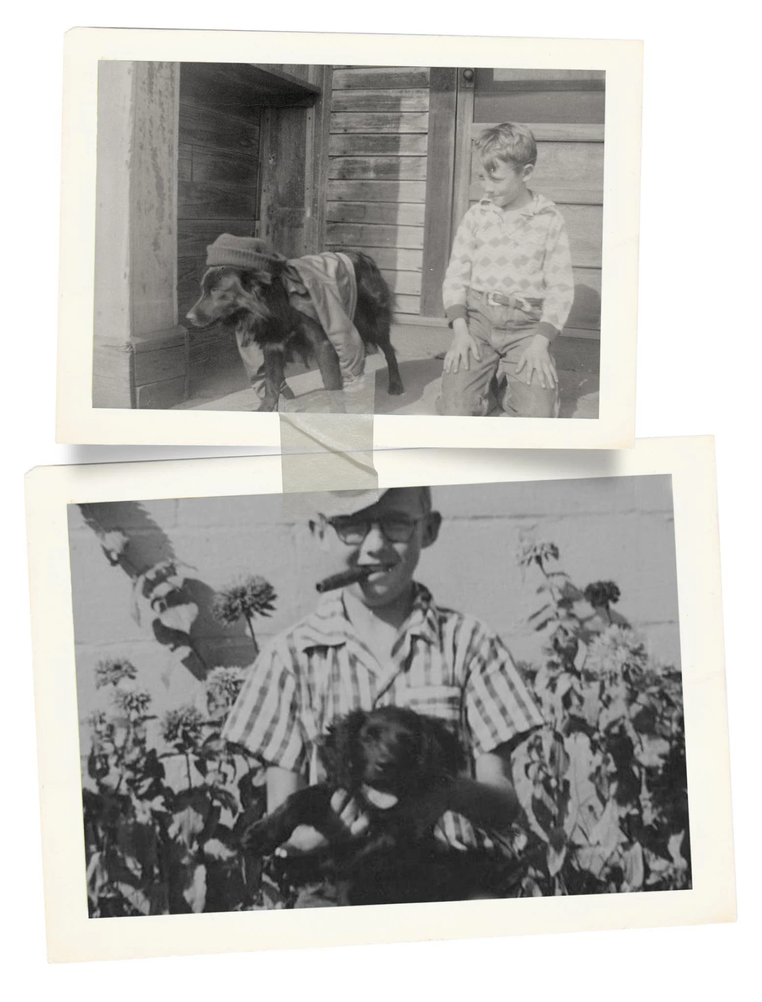 Stokeshire Heritage Family