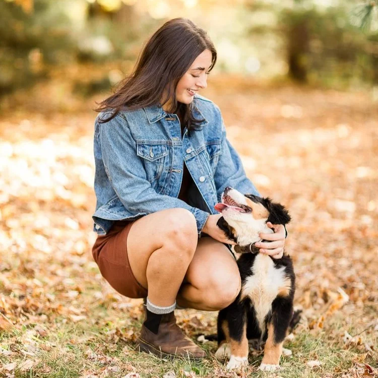 A woman kneeling in autumn leaves with a tricolor puppy looking up at her