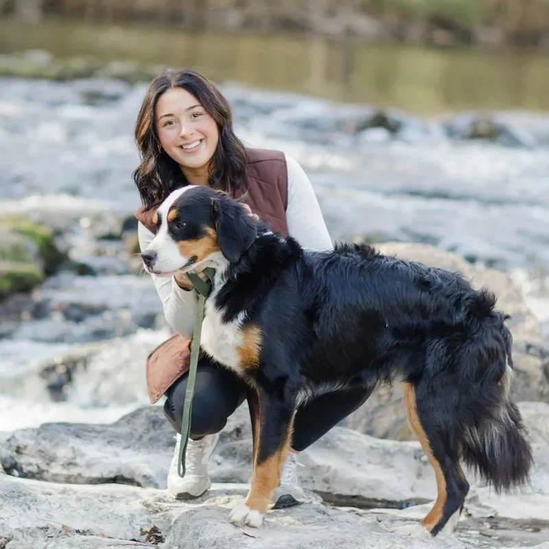 Top Doodle Breeder not a cheap breeder in Wisconsin.