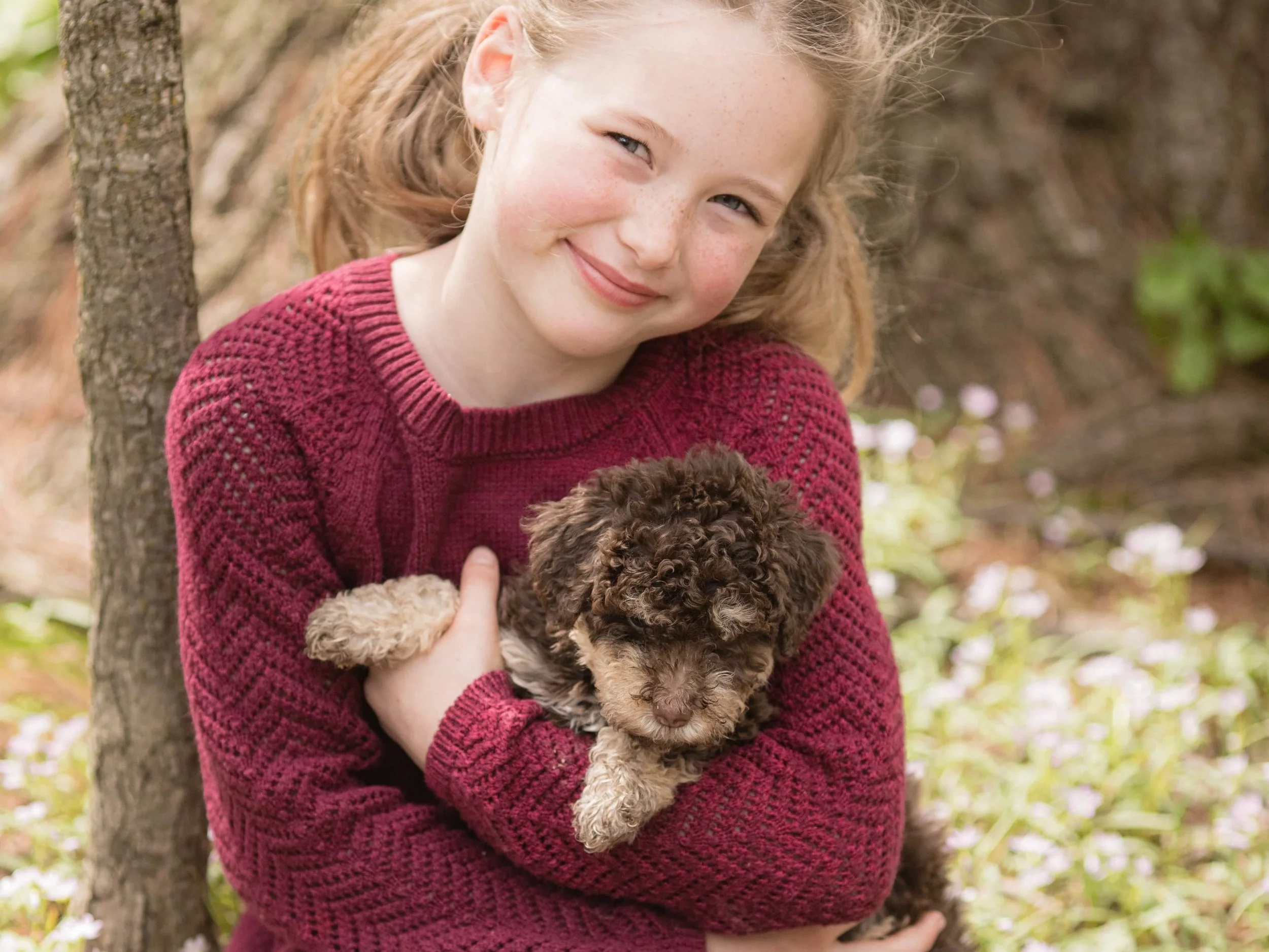 Essential Tips for Owning a Dog (for First-Time Owners)