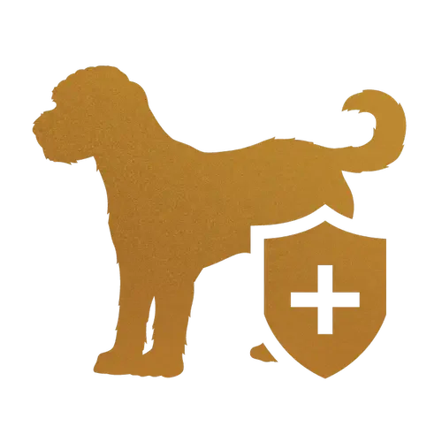 Allergy-friendly, low-shedding doodle puppies bred for sensitive households.