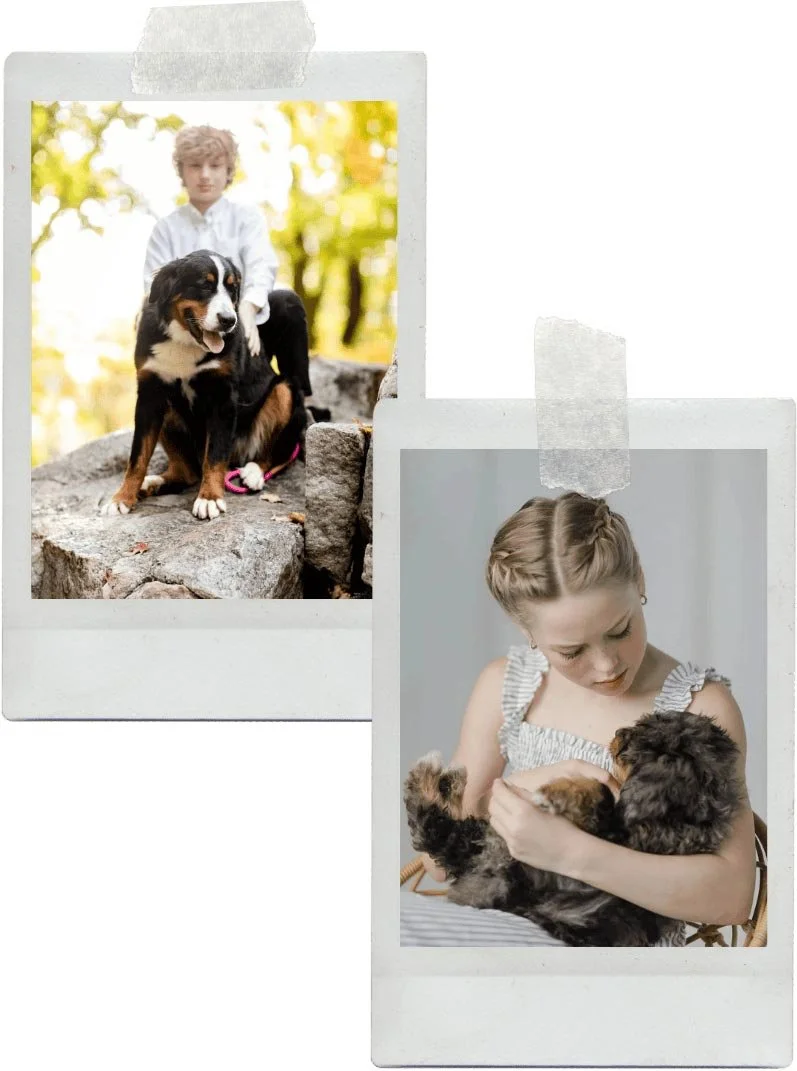 Stokeshire Heritage — Stokes History