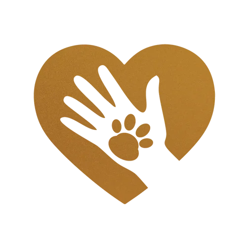 Ethical doodle puppy breeder in Wisconsin focused on health, care, and responsible breeding