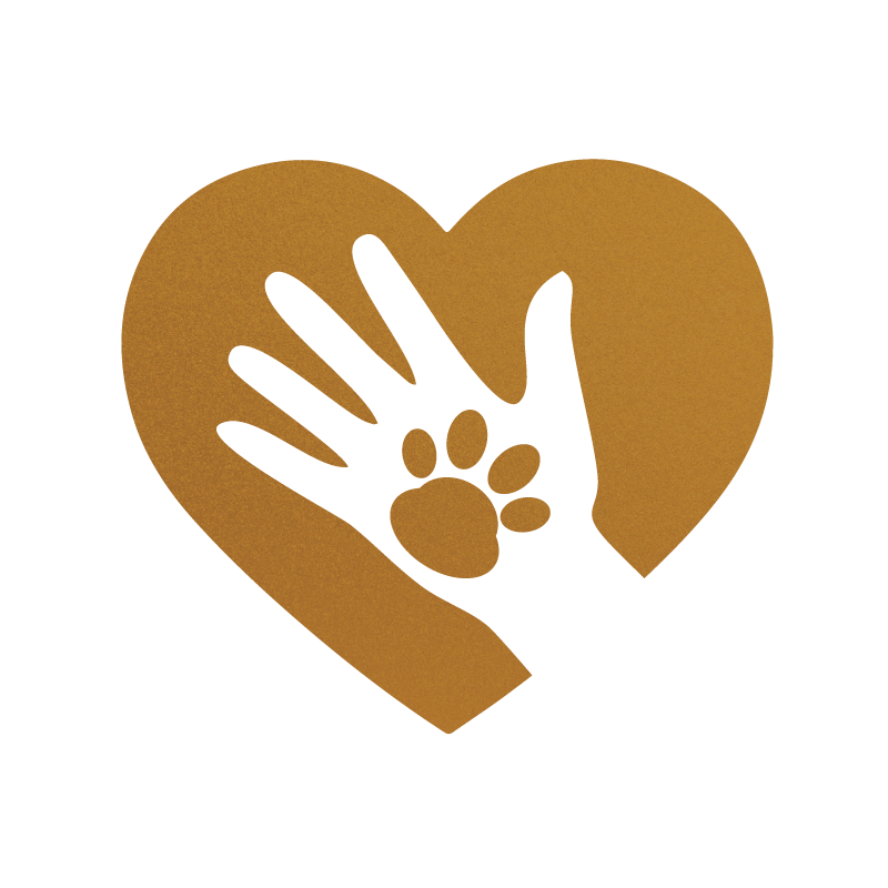 Funding and Resources for In-Classroom and Clinic Therapy Dogs