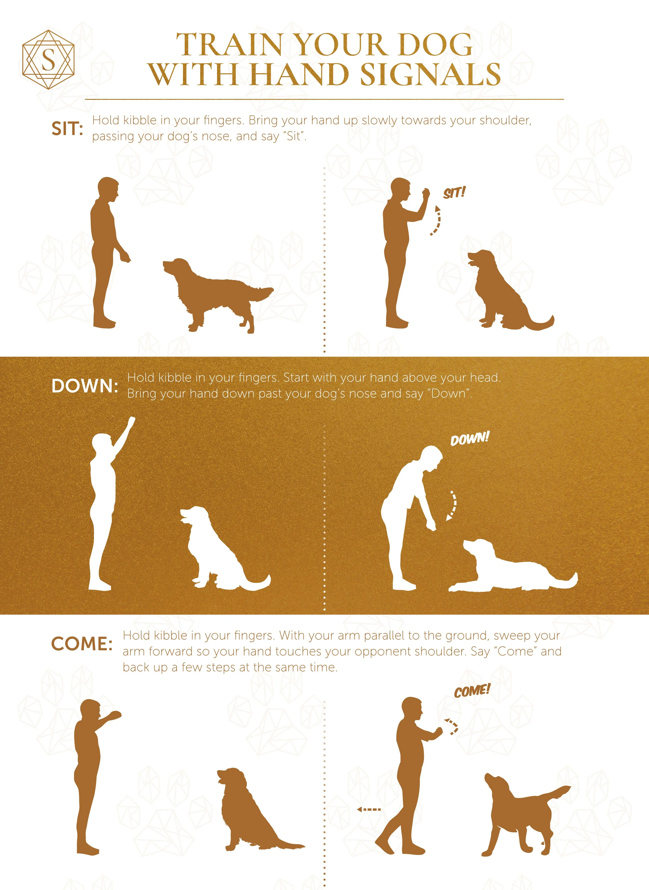 Stokeshire---Hand-Signals-for-Dog-Training.jpg