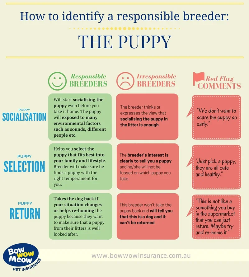 How to find a responsible and reputable dog breeder infographic with red flag comments responsible vs irresponsible dog breeder signs.
