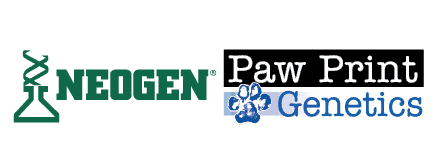 pawprint-genetics-logo-Stokeshire-Designer-Doodles.png
