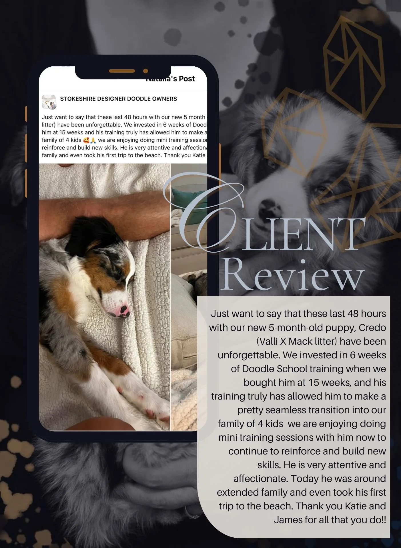 Family review describing a Stokeshire puppy's training and transition home